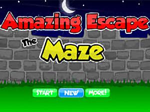 Amazing Escape Maze