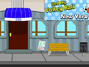 Find My Volleyball New York