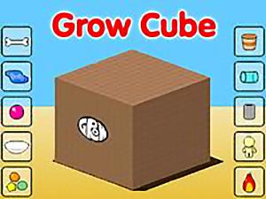 Grow Cube